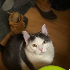 Meet your Posher, Kelsie